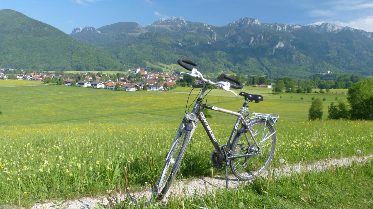 Hotel Wirtshaus Zum Baumbach Aschau im Chiemgau Exterior foto